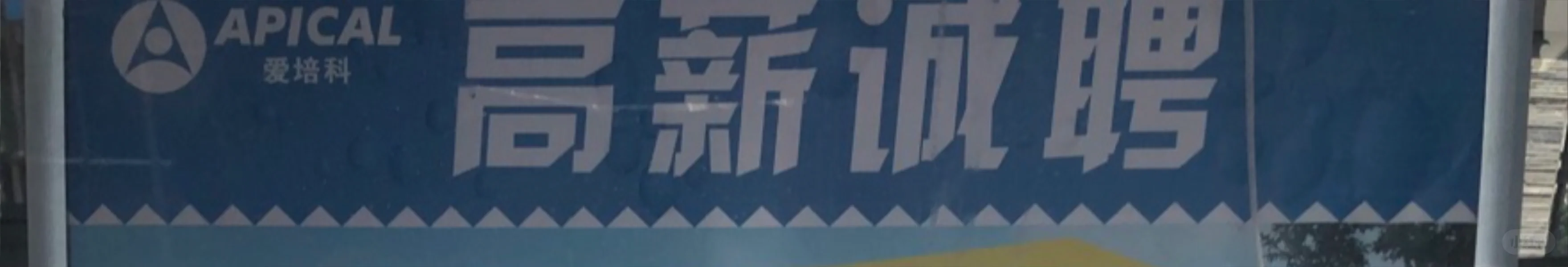 避雷爱x克