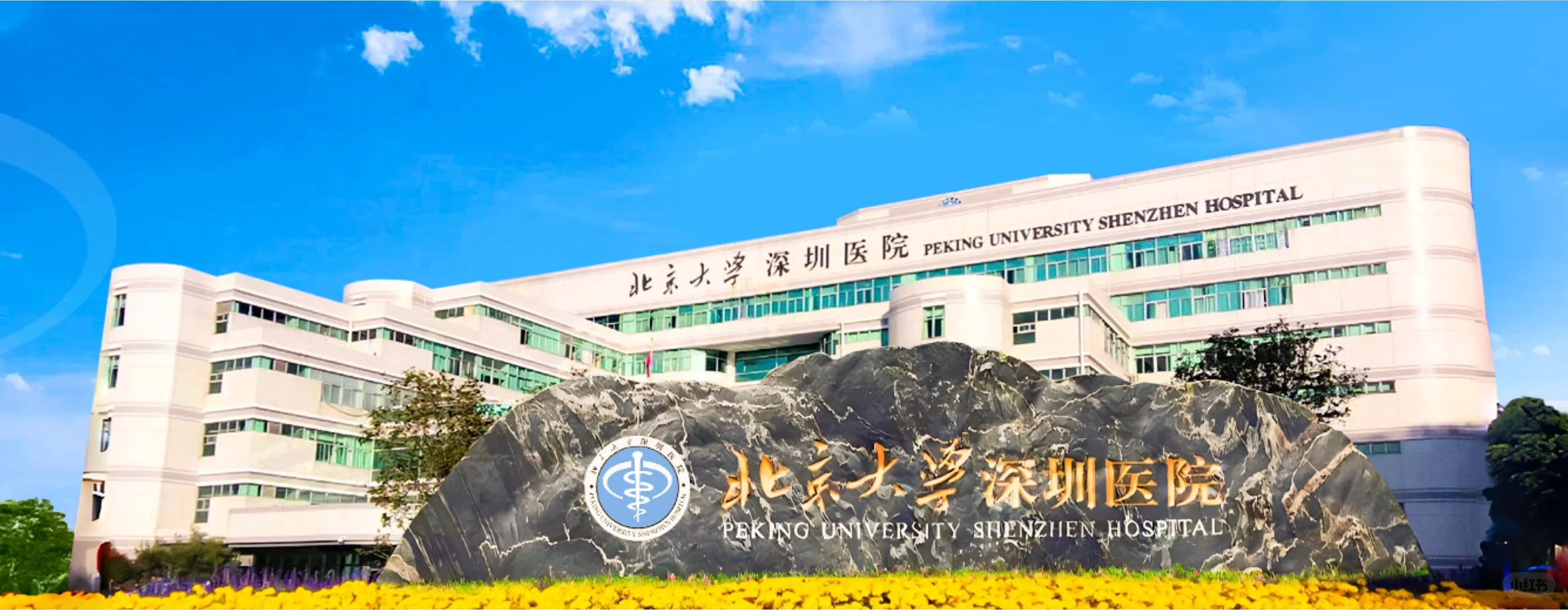 北京大学深圳医院2026年招聘