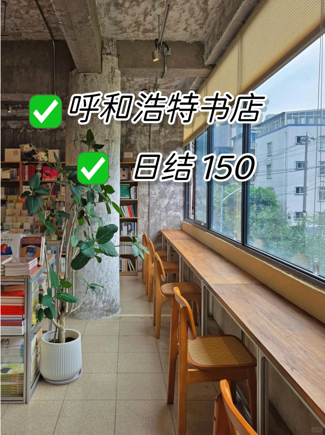 呼和浩特书店📚｜｜藏在书香里的工作