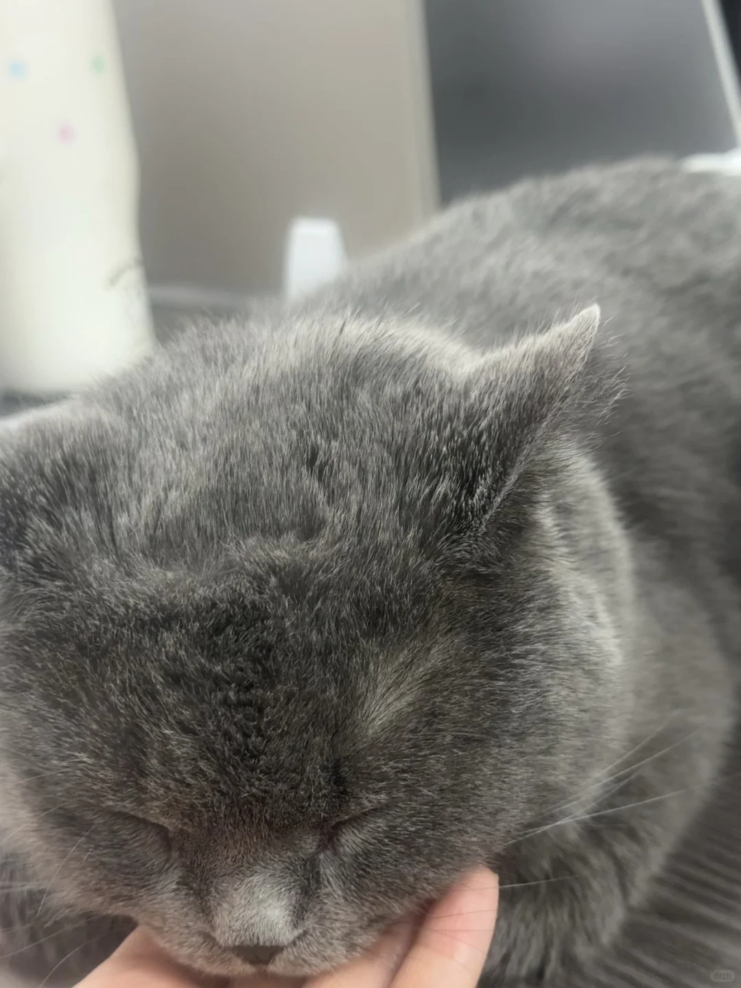 传媒公司招主播，正儿八经的！！！