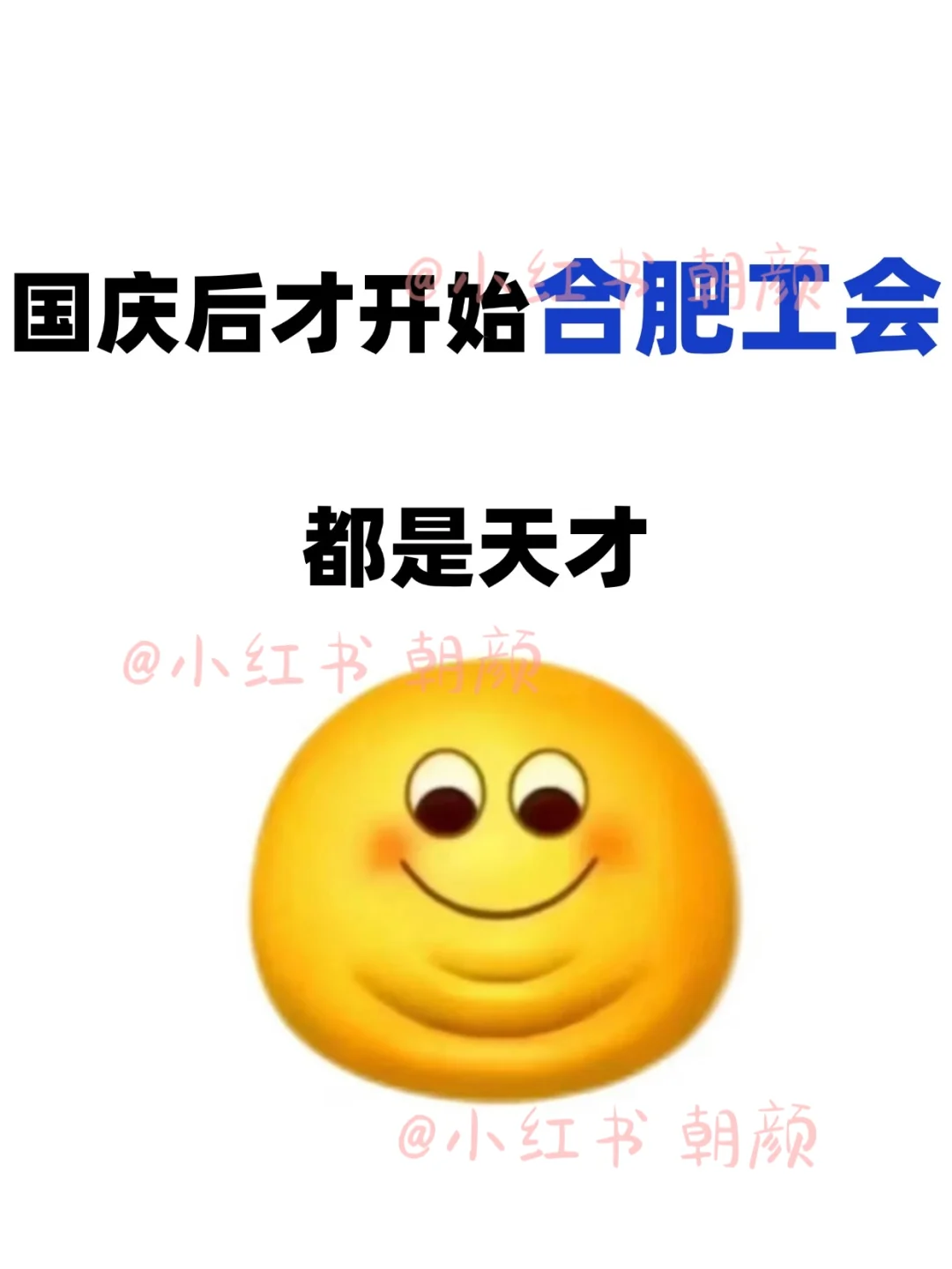 国庆后才开始合肥工会，都是天才……