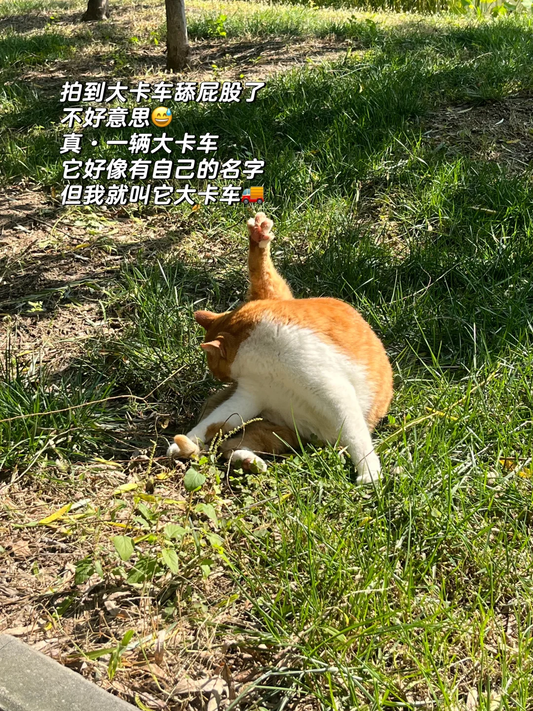 00新媒体-高校|降薪跳槽|我为什么这么选❓