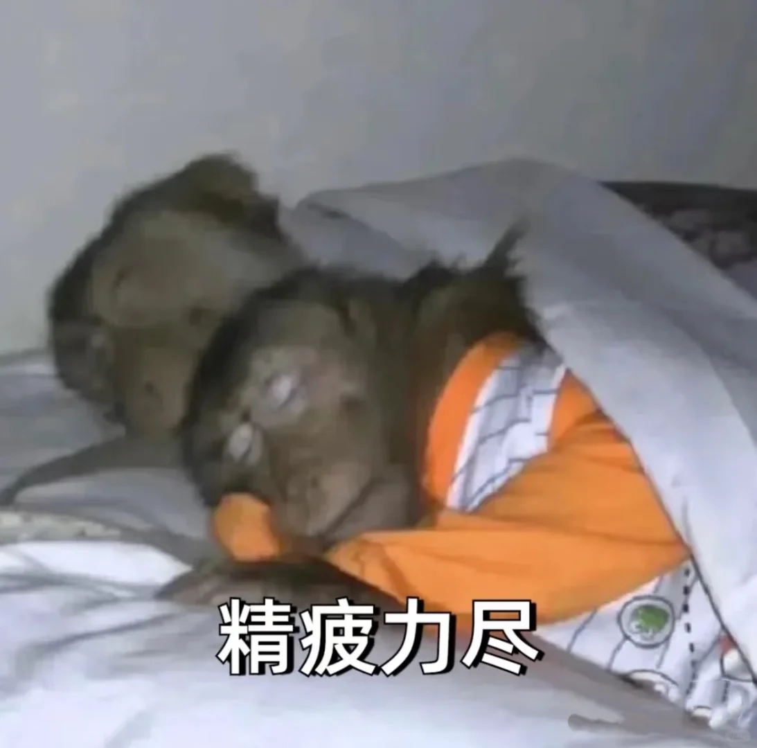 合肥找工作避雷指南！