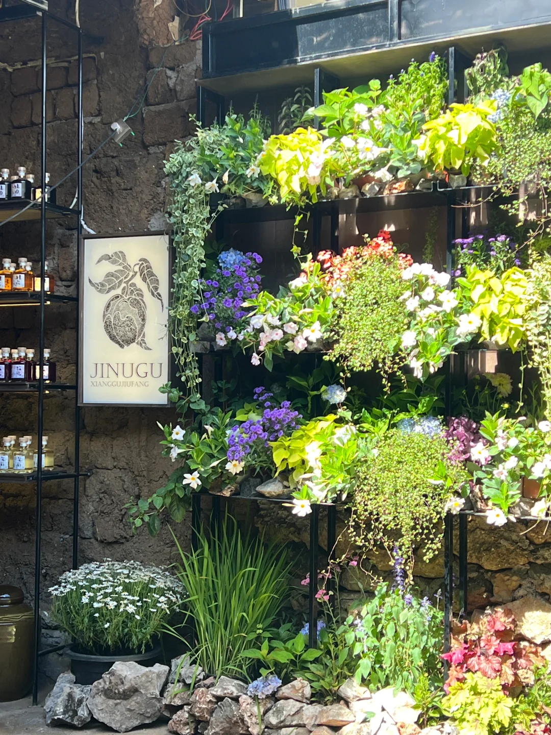 丽江白沙吉奴古香谷酒坊招聘啦