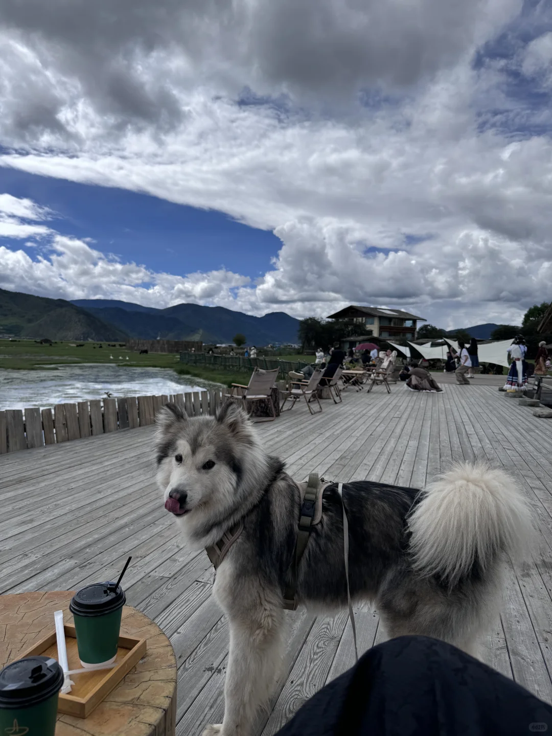 📮 丽江白沙·招募一位“家庭管理员”