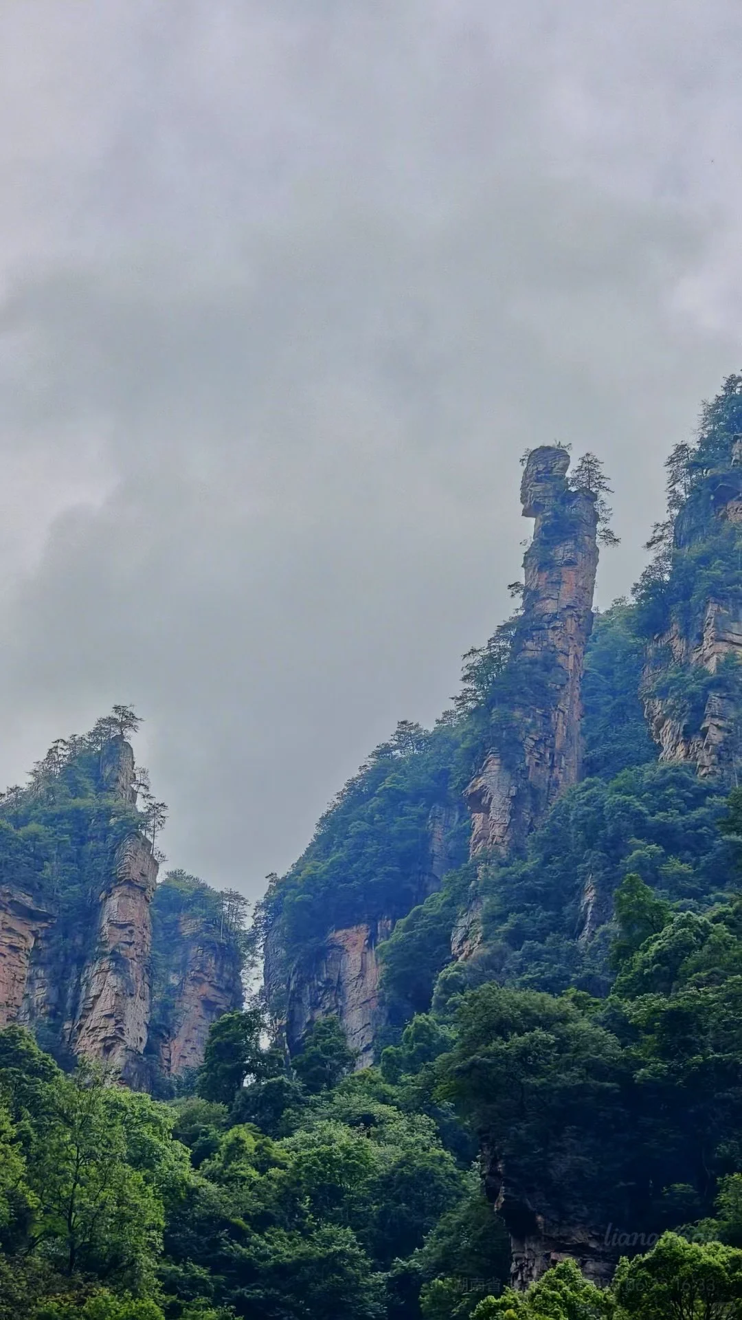 招人啦！张家界高盛国际5楼，招聘人了！