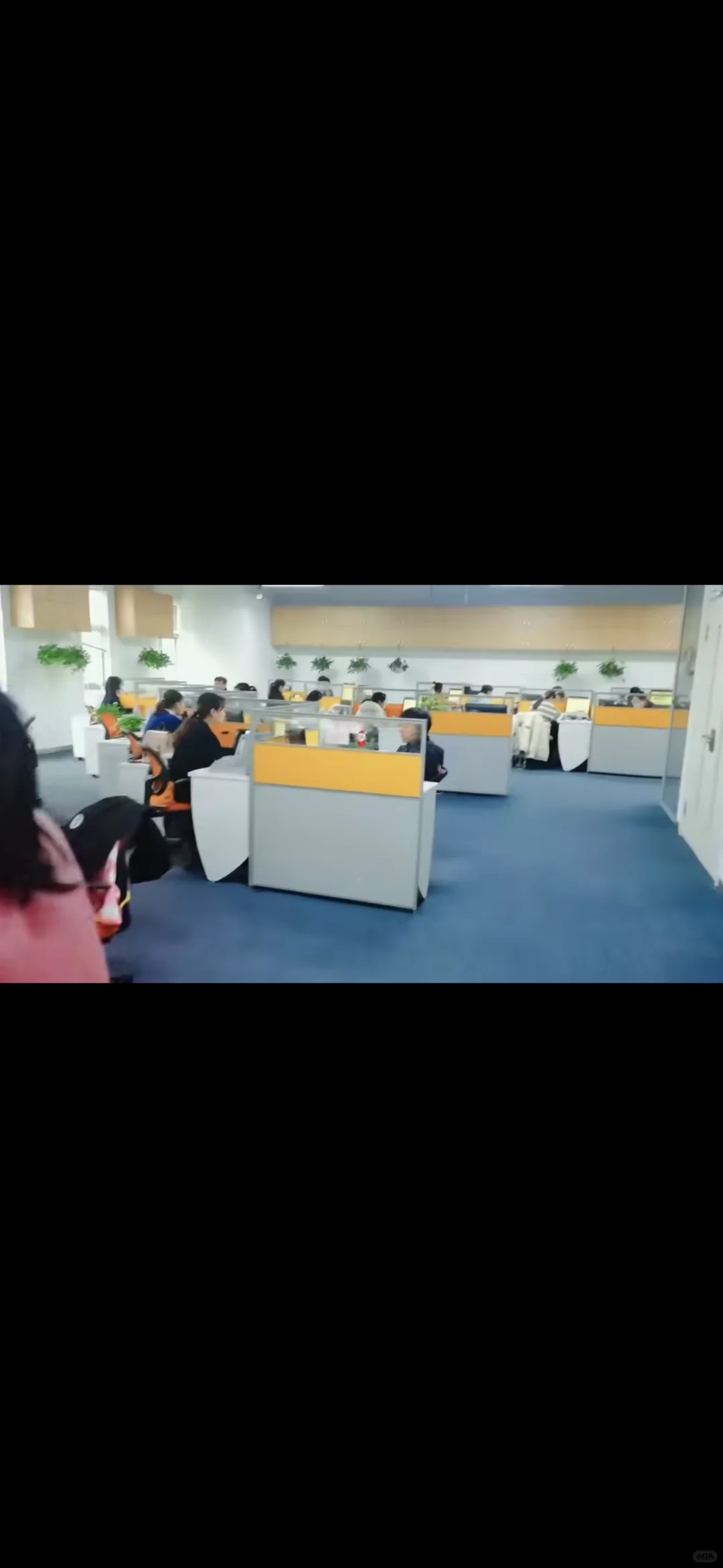 招聘了 周末双休 五险一金