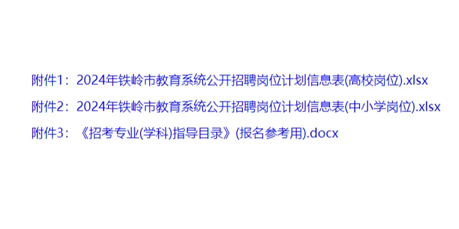 2024年铁岭市公开招聘教师269人公告