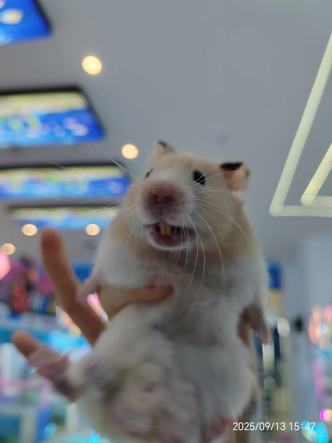 岗位汇总！没有工作的看过来！