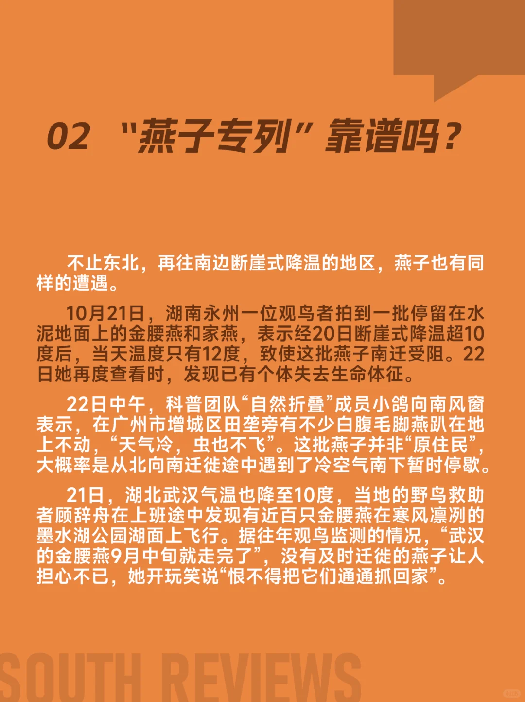 100多只燕子滞留东北，小燕崽被活活冻死