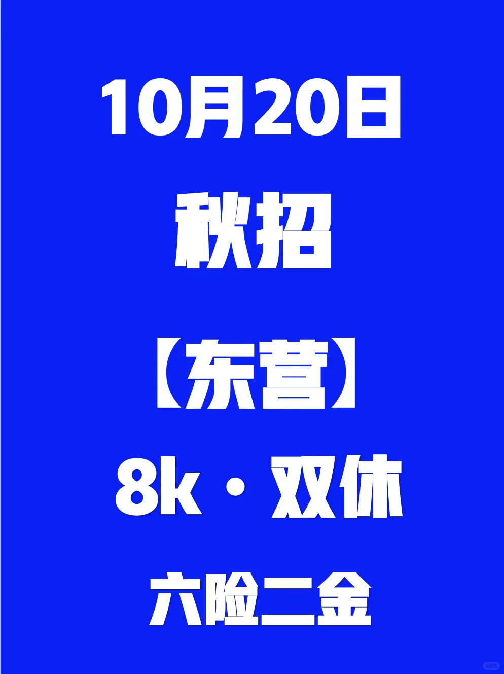 假如你10.20开始投东营校招