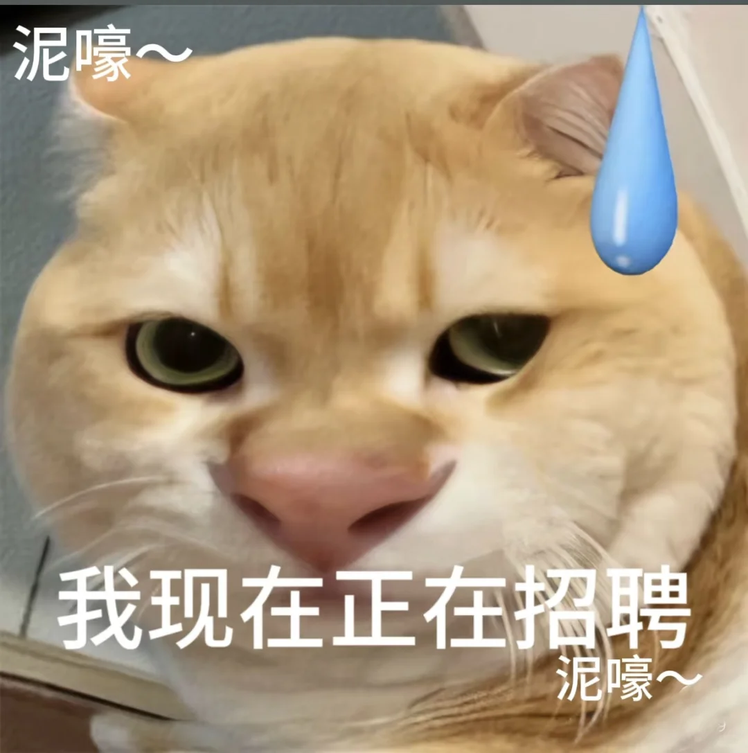 临沂的小哥哥小姐姐，有找工作的吗