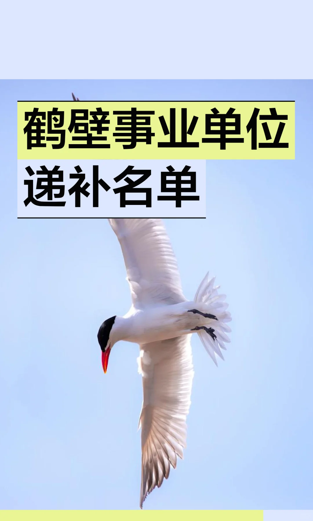 鹤壁事业单位递补名单