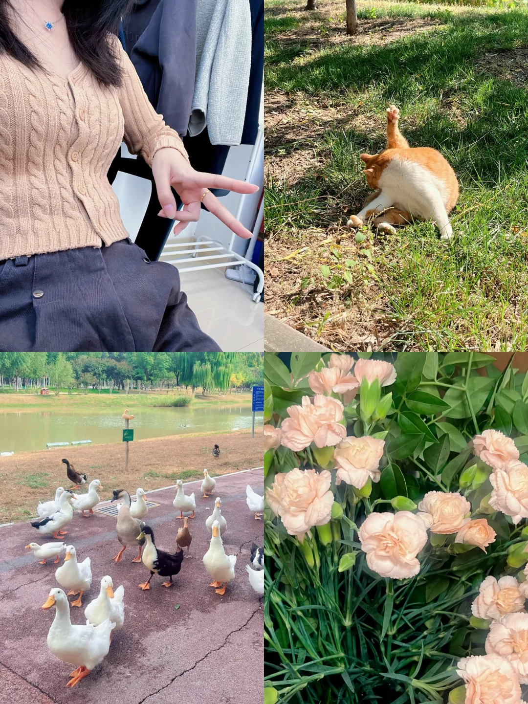 00新媒体-高校|降薪跳槽|我为什么这么选❓