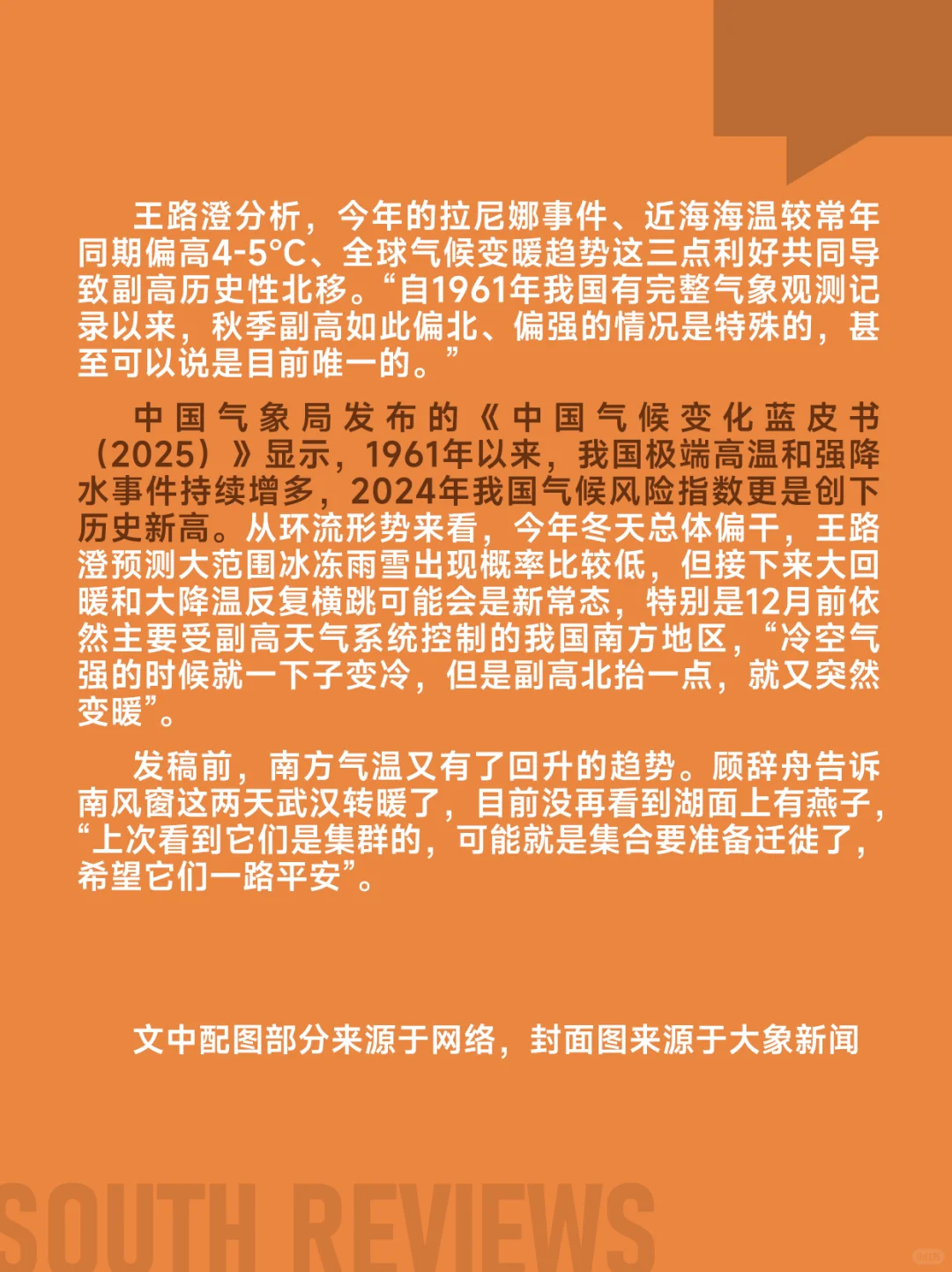 100多只燕子滞留东北，小燕崽被活活冻死