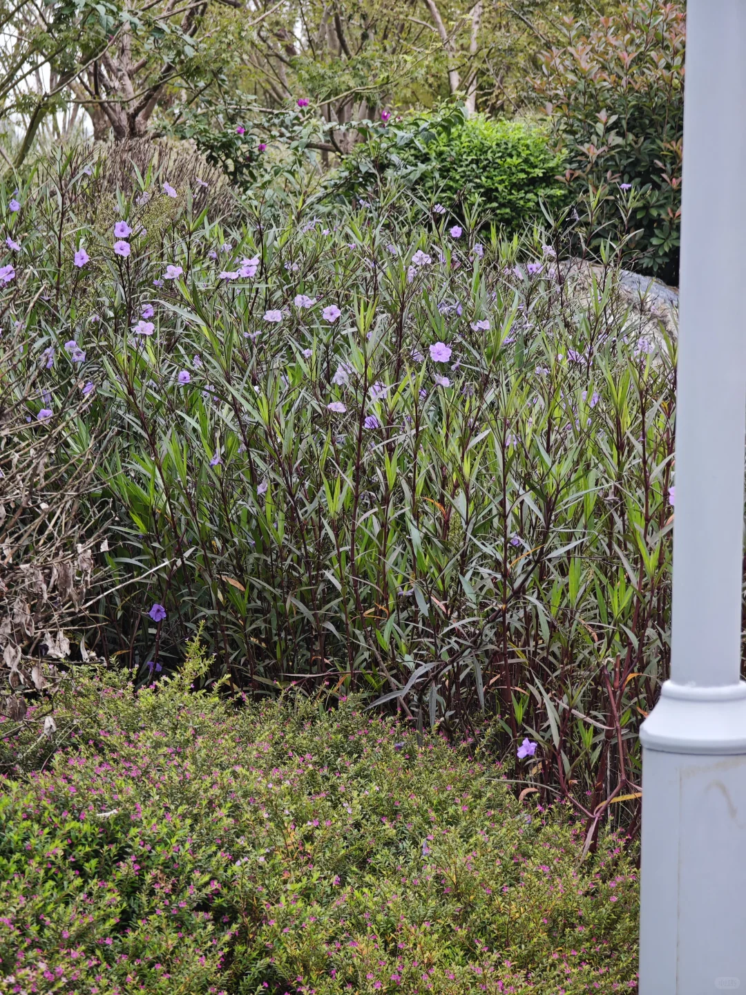 提醒一下，报名25邵阳市总工会工作者的人！