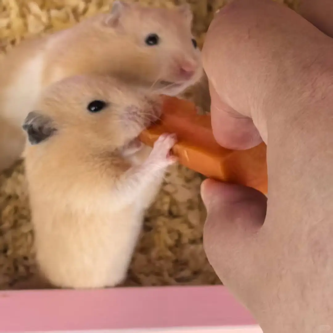 岗位汇总！有工作的看过来