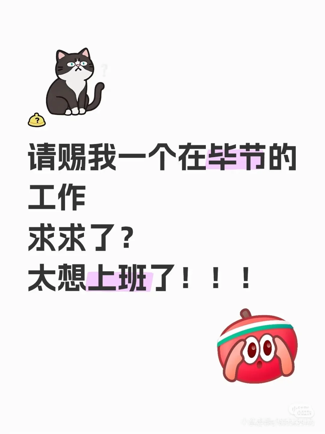 拟邀一个在毕节的工作