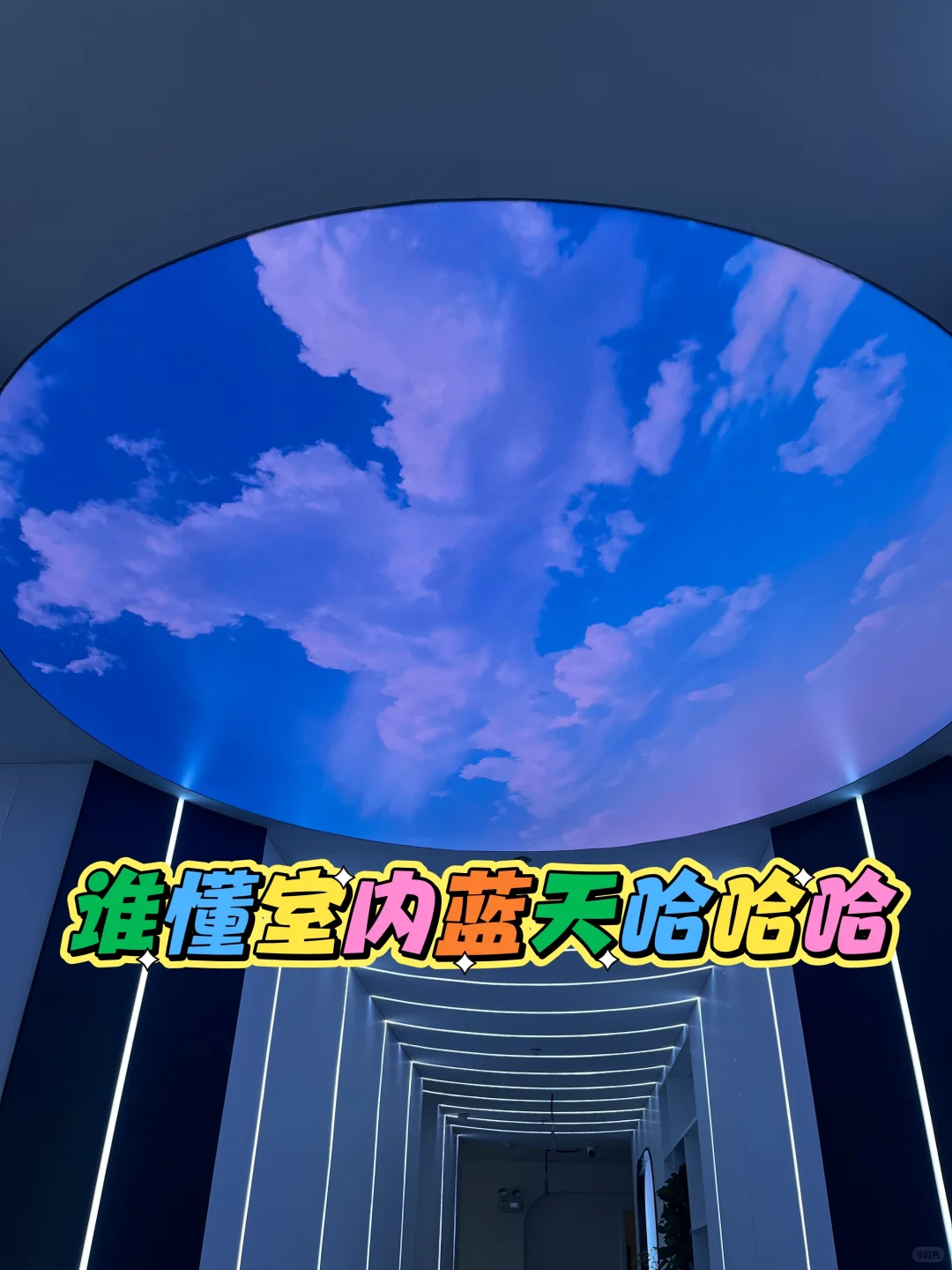 传媒公司招主播和人事啦！！