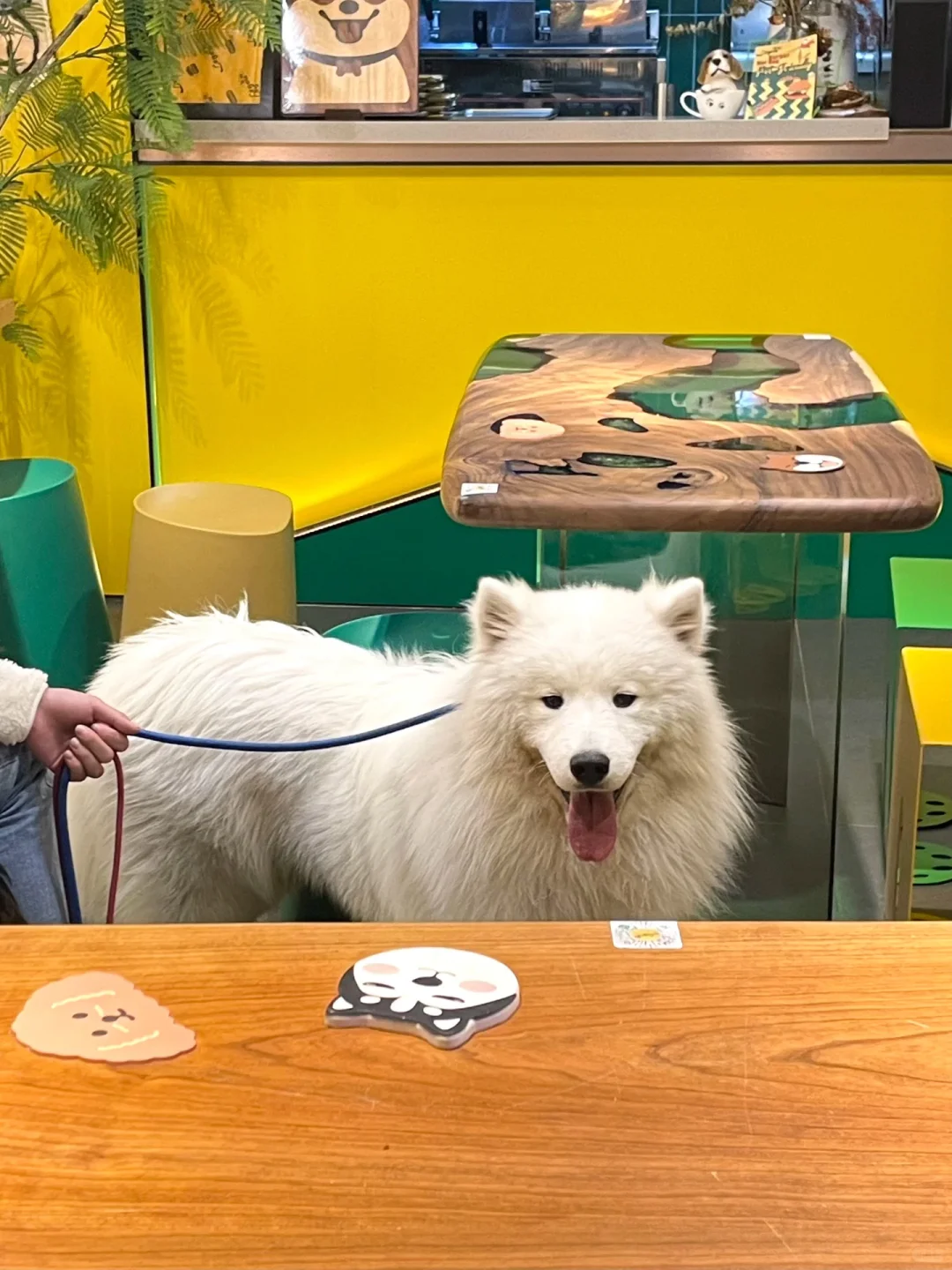 25届211本｜毕业即失业？勇闯秋招Day29🔥