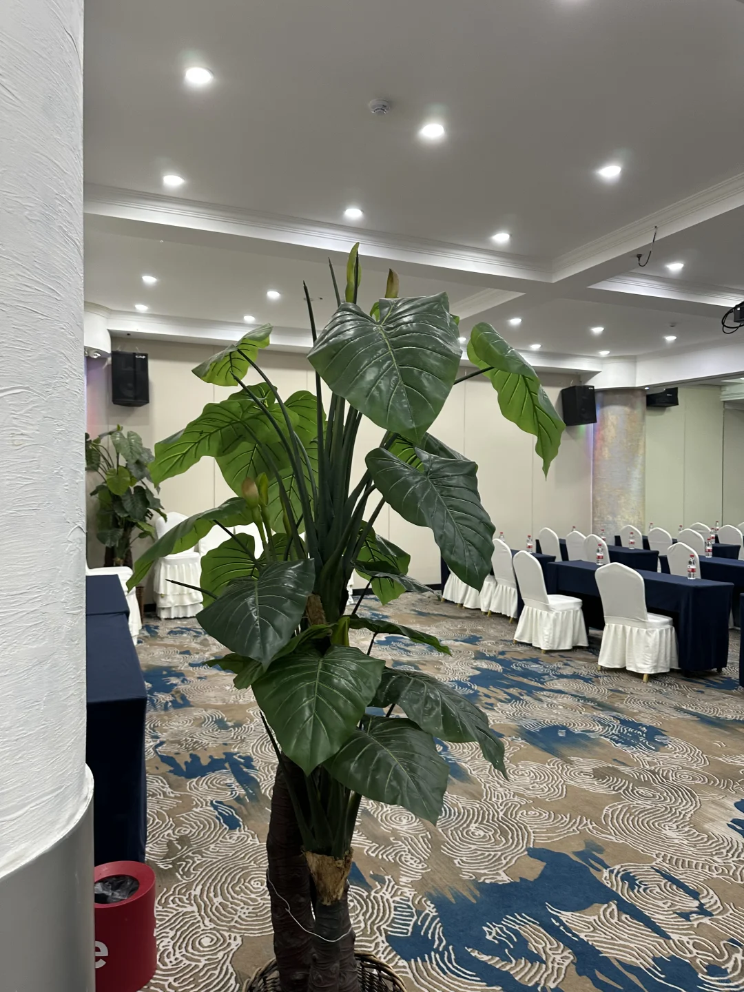 招一个可以一起摸鱼的上班搭子（评论或私信）