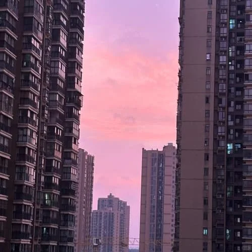 企业认证超严格的软件✅