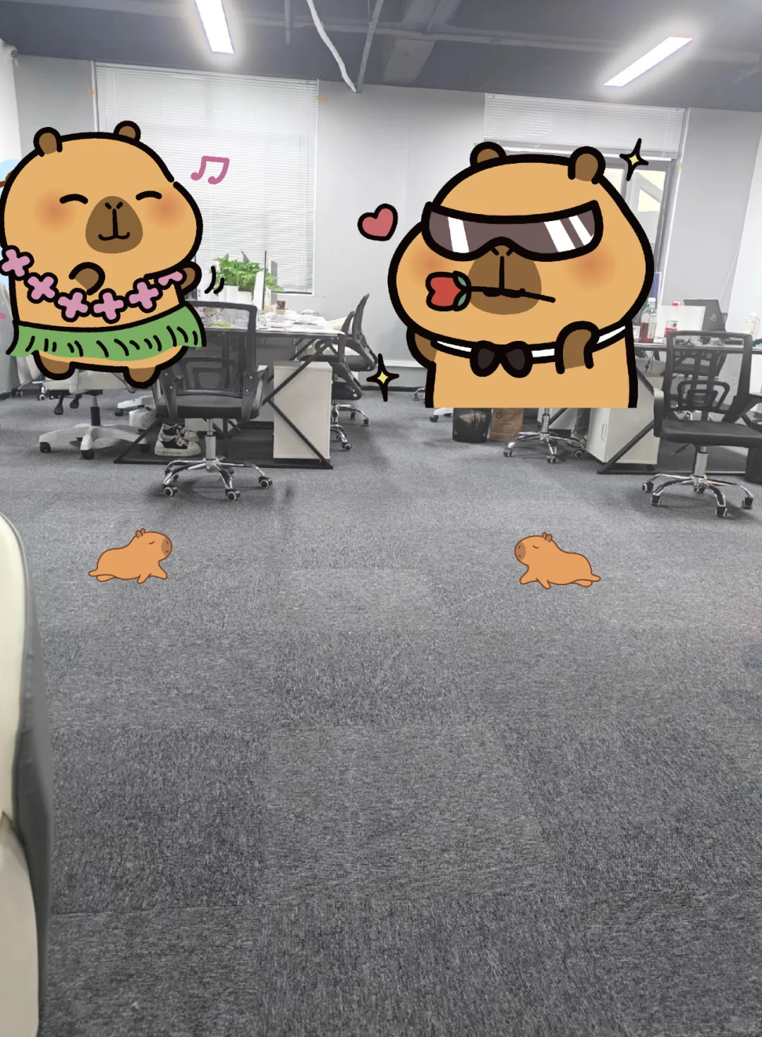 咸阳初创公司，唯一的缺点就是早10晚6