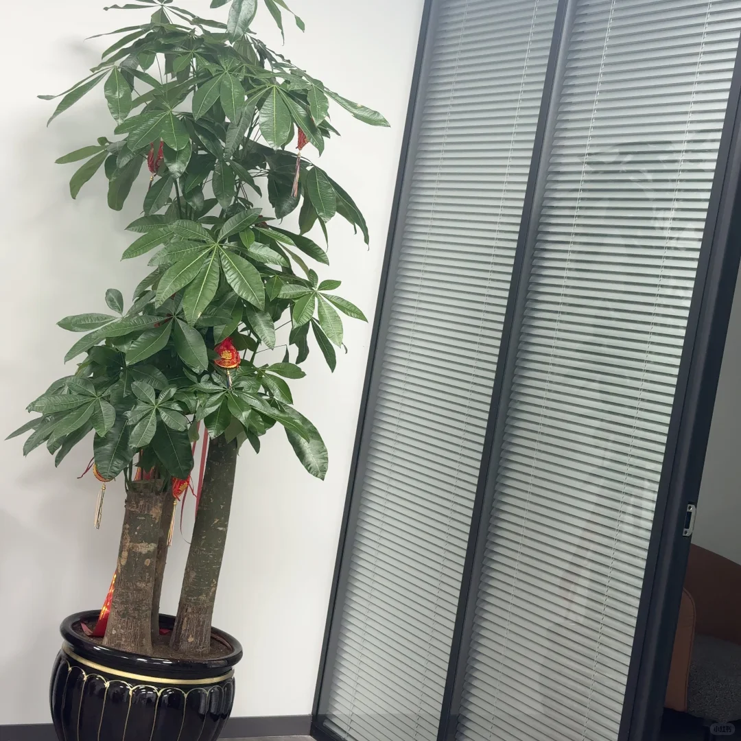 找工作，靠自己赚钱的举手🙋‍♀️