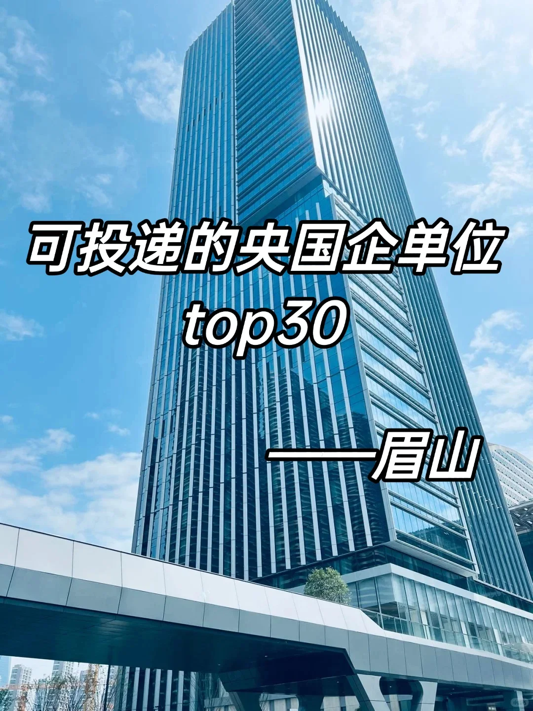 可投递的央国企单位top30——眉山