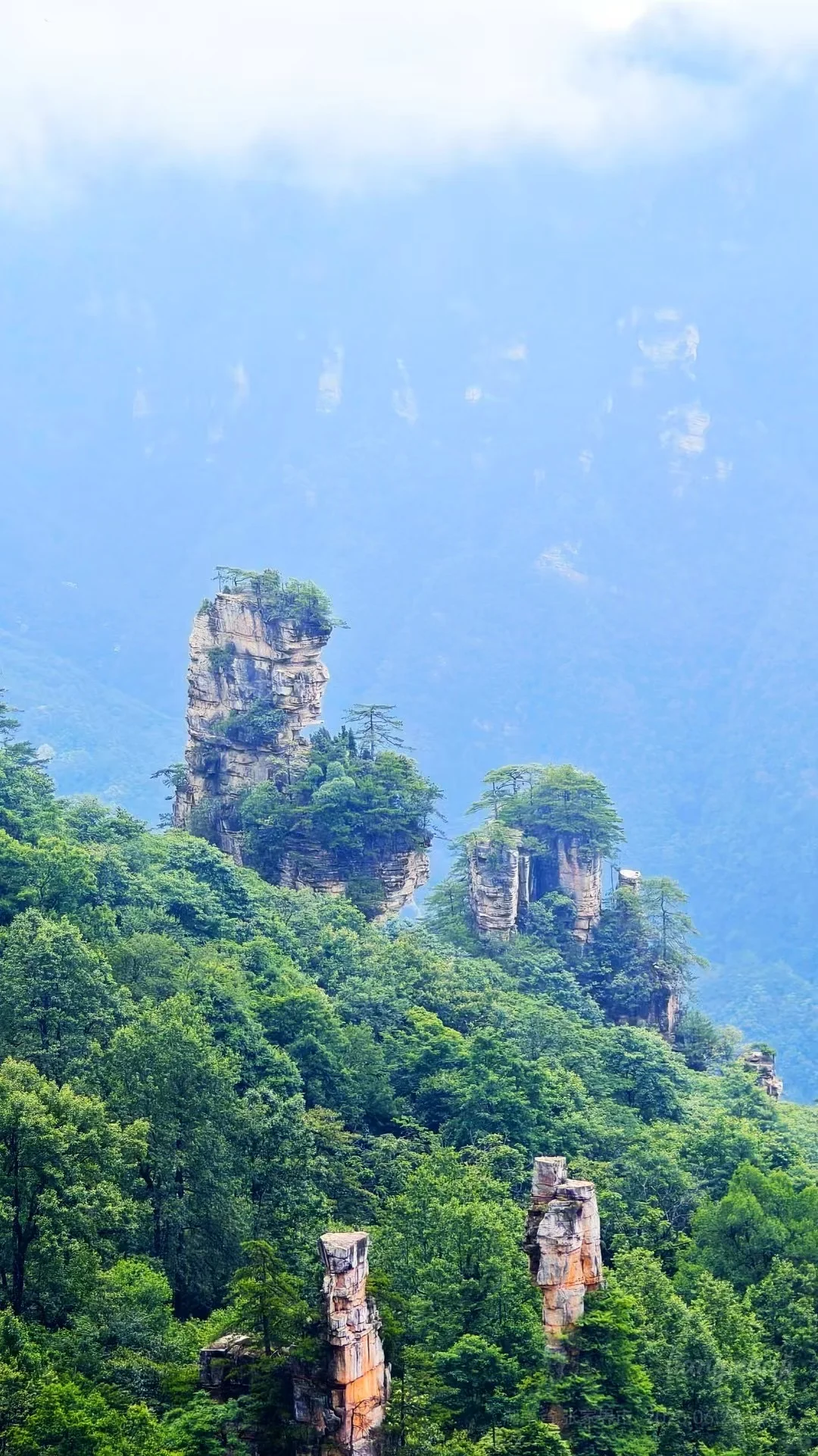 招人啦！张家界高盛国际5楼，招聘人了！