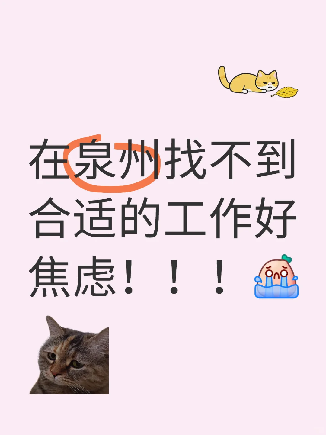你们到底在哪找的好工作啊！！！