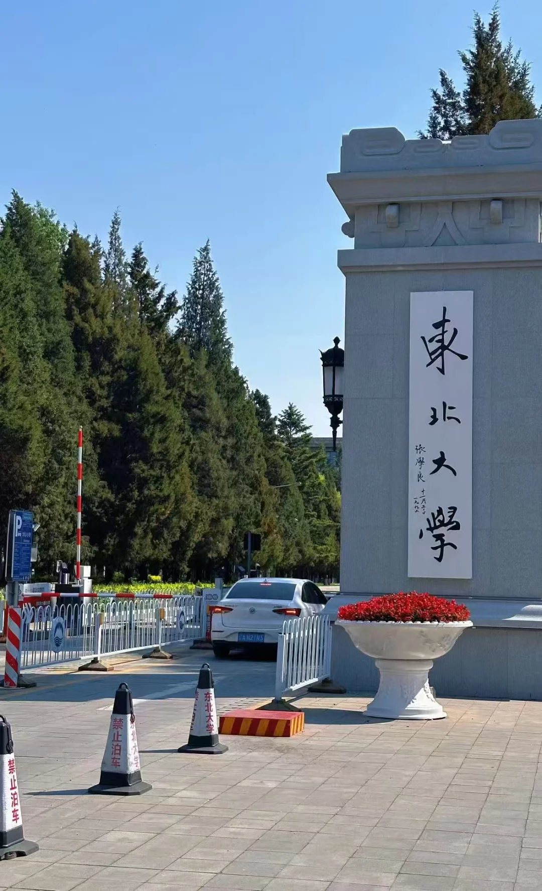 硕士丝滑进高校:东北大学分校