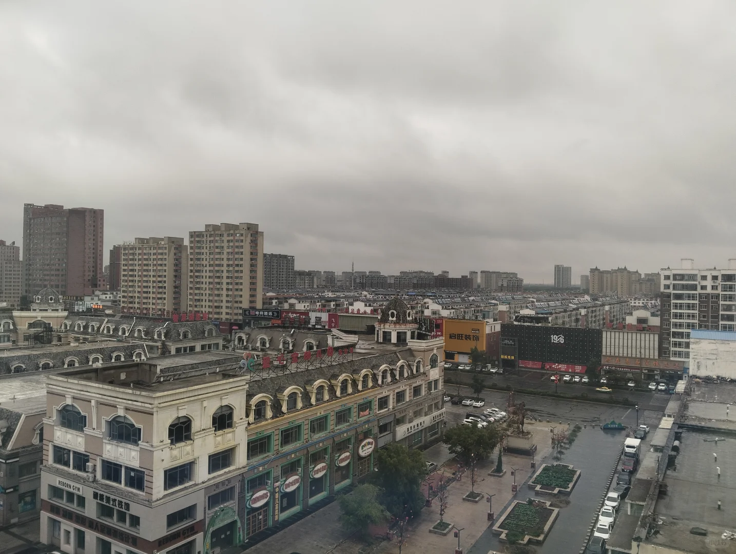下雨也不能阻止小羊上班🐑