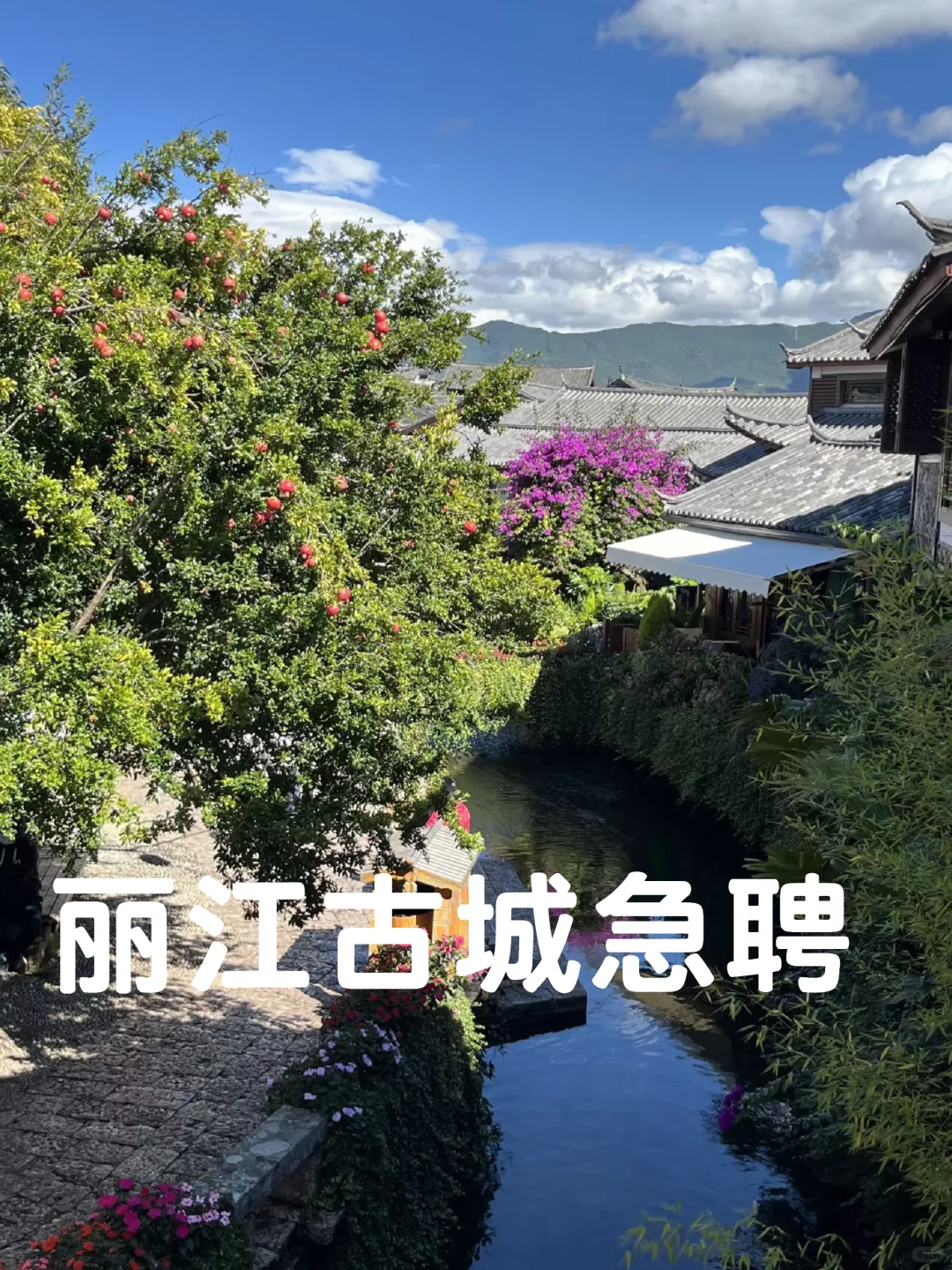 #岗位急招#丽江古城#珠宝销售#加入我们吧!