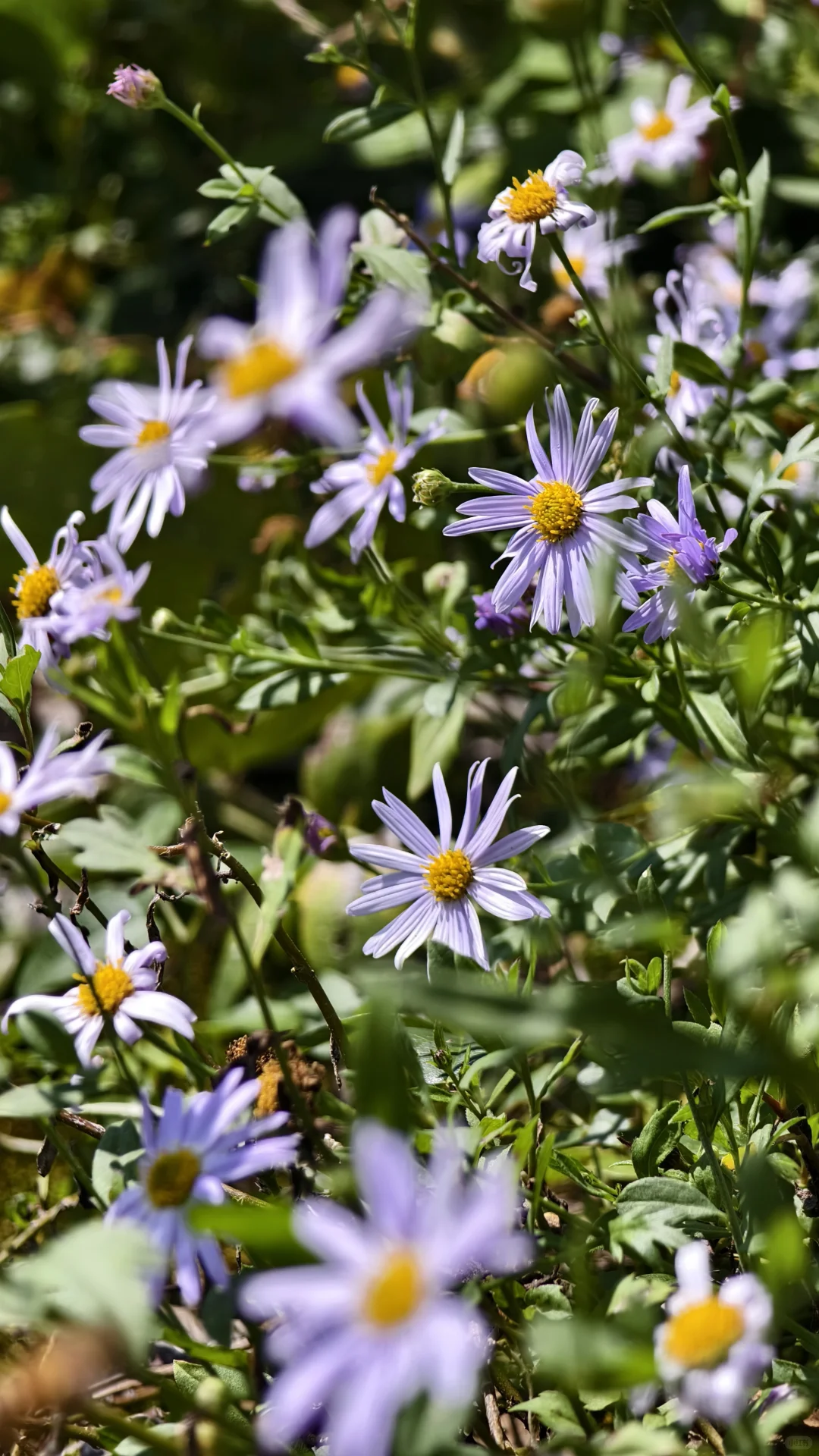 乡村文旅招聘（能接受全国出差能驻村）