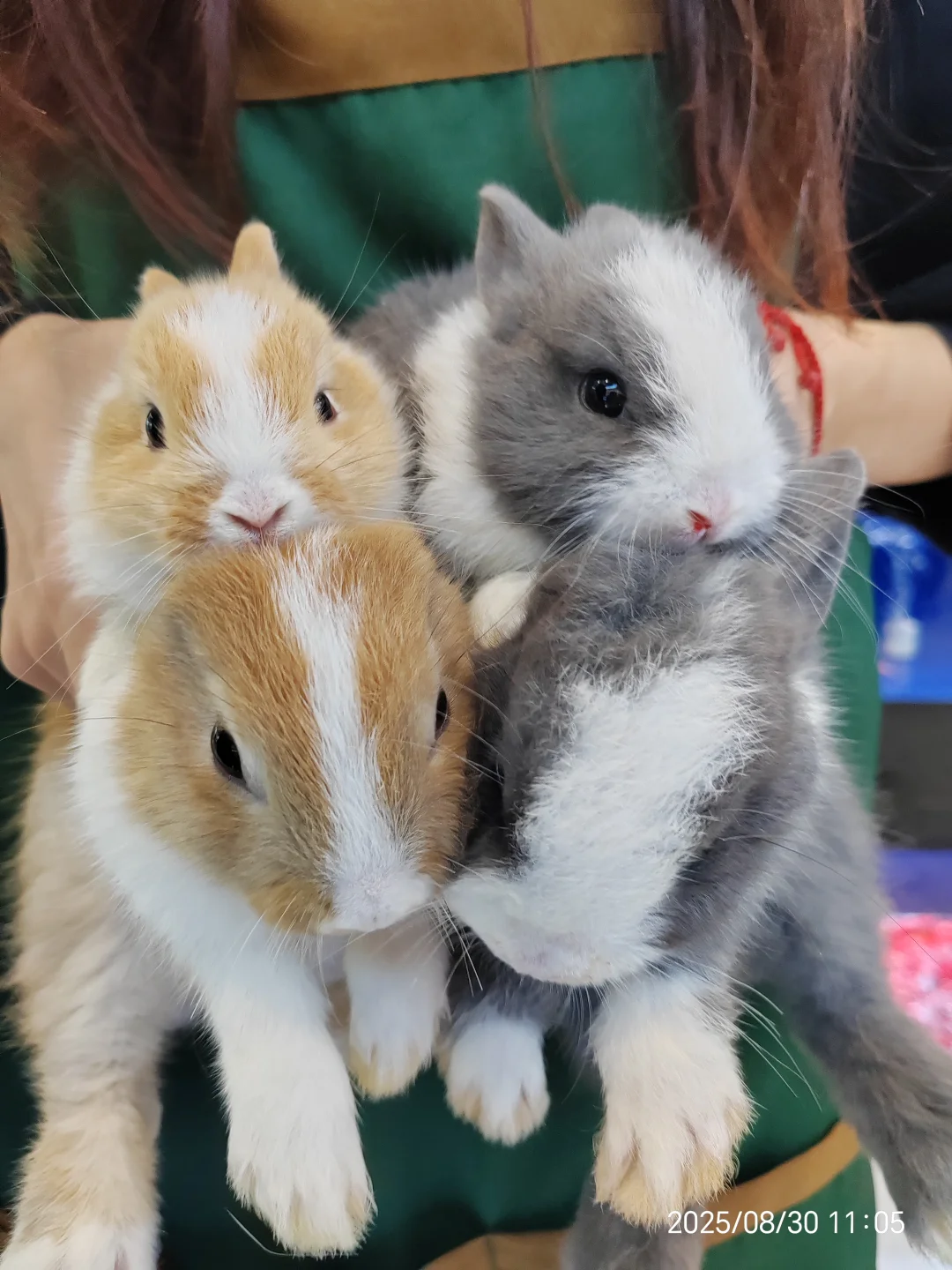 岗位汇总！没有工作的看过来！