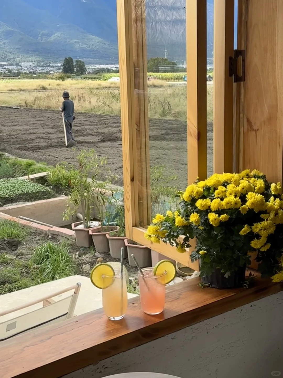 大理田园咖啡招聘义工