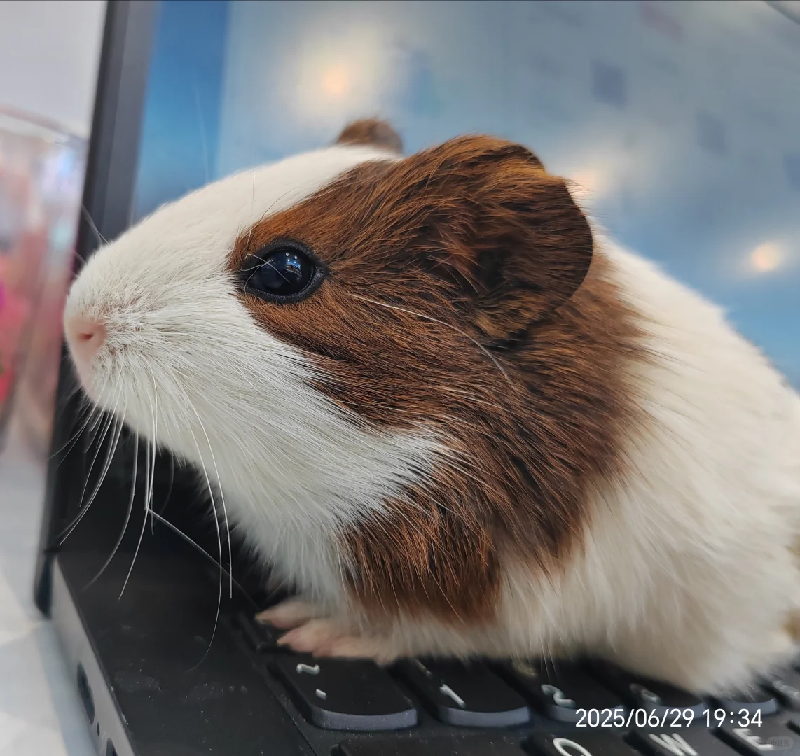 岗位汇总！有工作的看过来