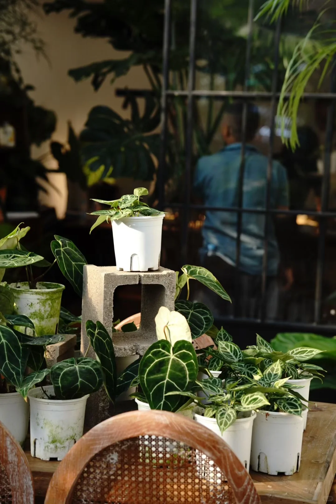 漂亮花店的工作环境