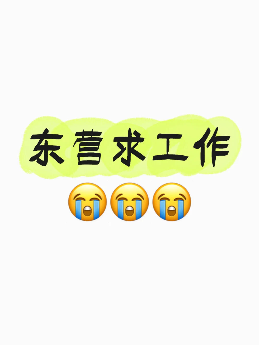应届生东营找工作