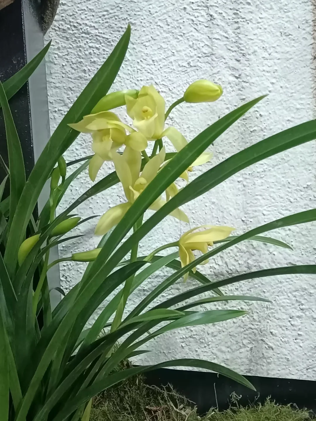 #岗位急招#丽江古城#珠宝销售#加入我们吧!