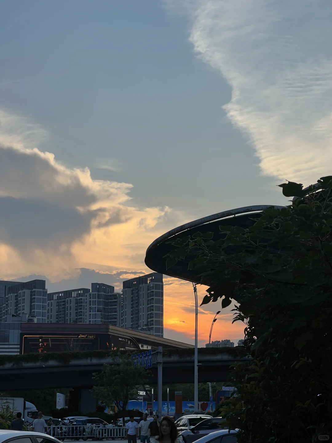 鼓楼区找搭子！找搭子！！！很急很急