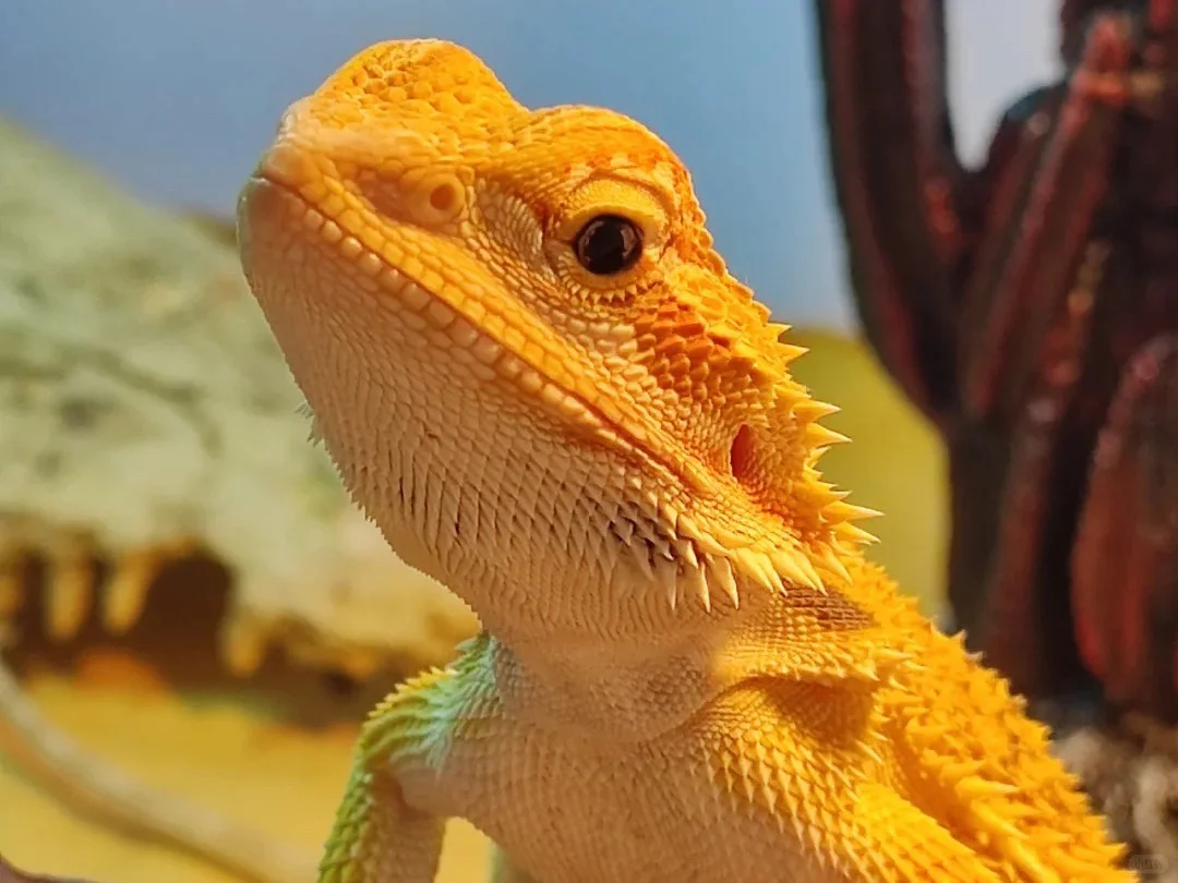 乐山万达招聘兼职