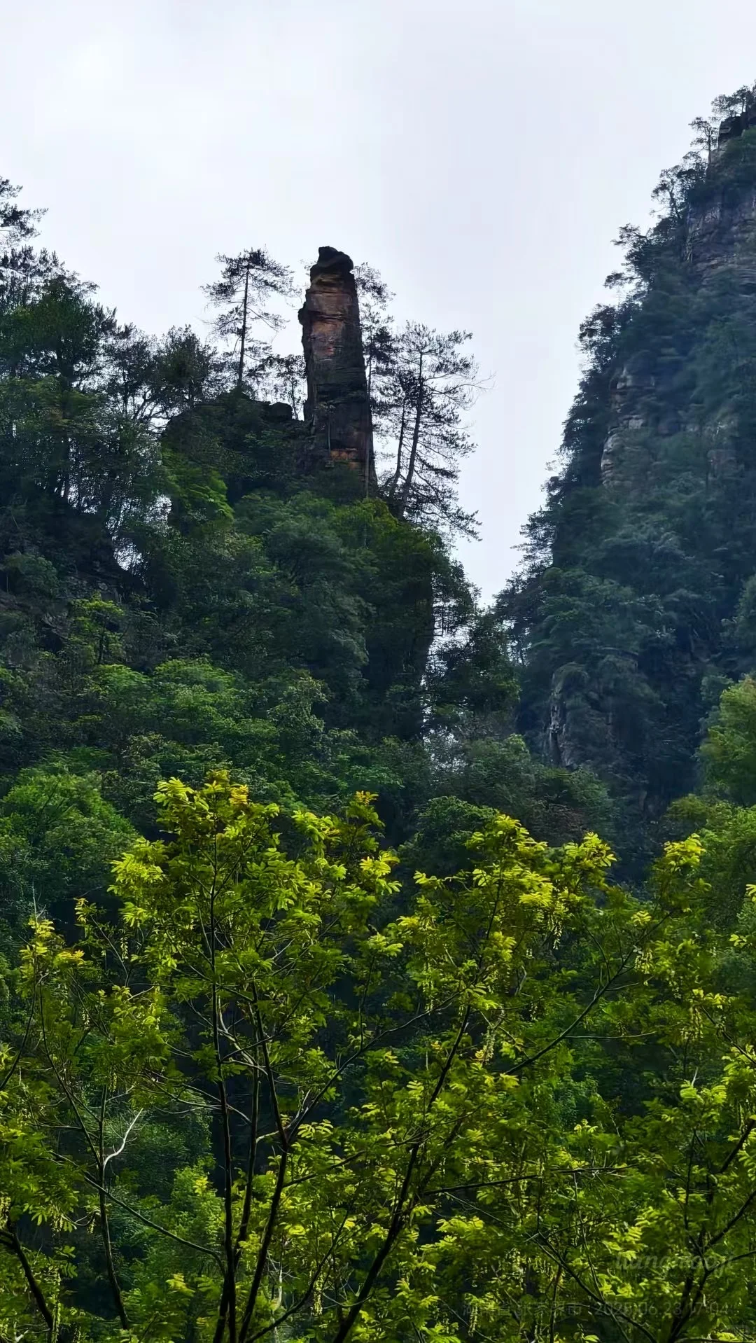 招人啦！张家界高盛国际5楼，招聘人了！