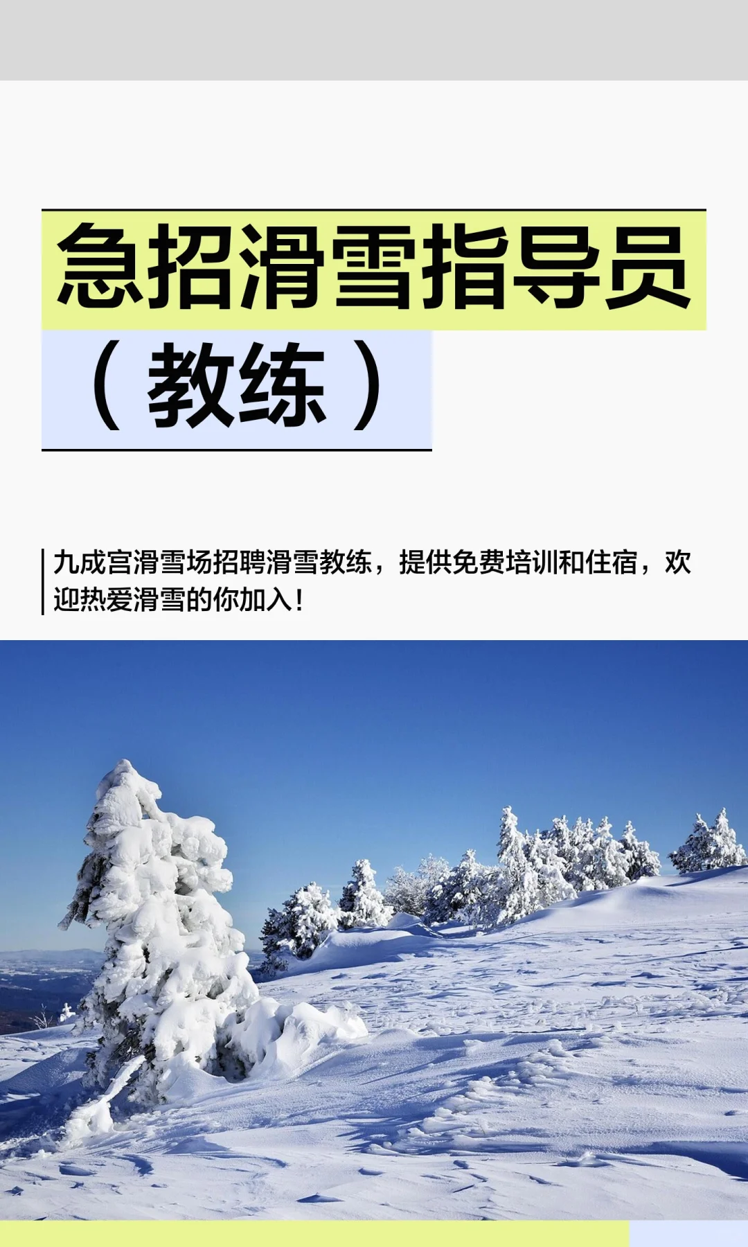急招滑雪指导员（教练）