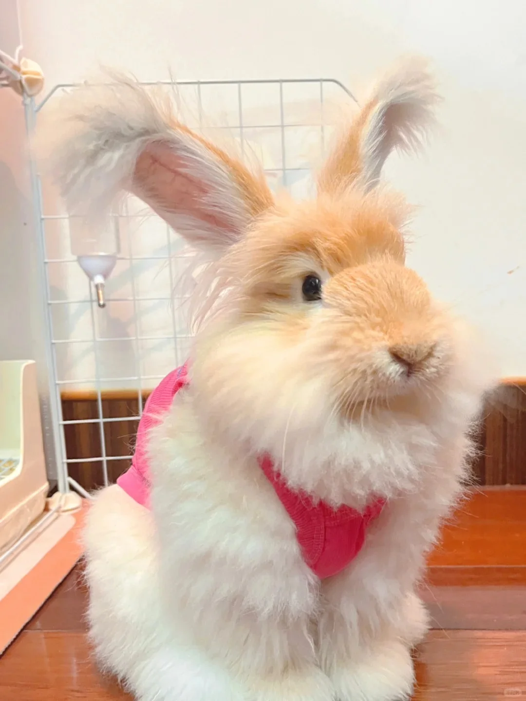 乐山万达招聘兼职