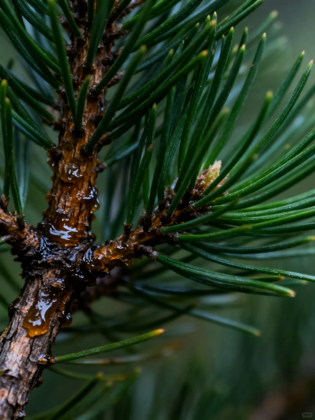 25马鞍山市总工会工作者，大概率从这里抽！