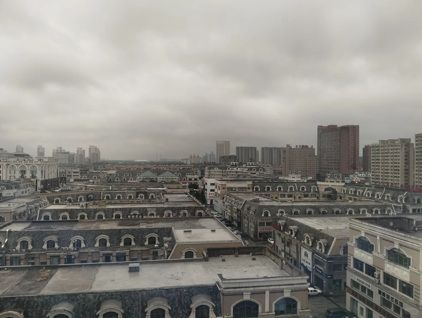 下雨也不能阻止小羊上班🐑