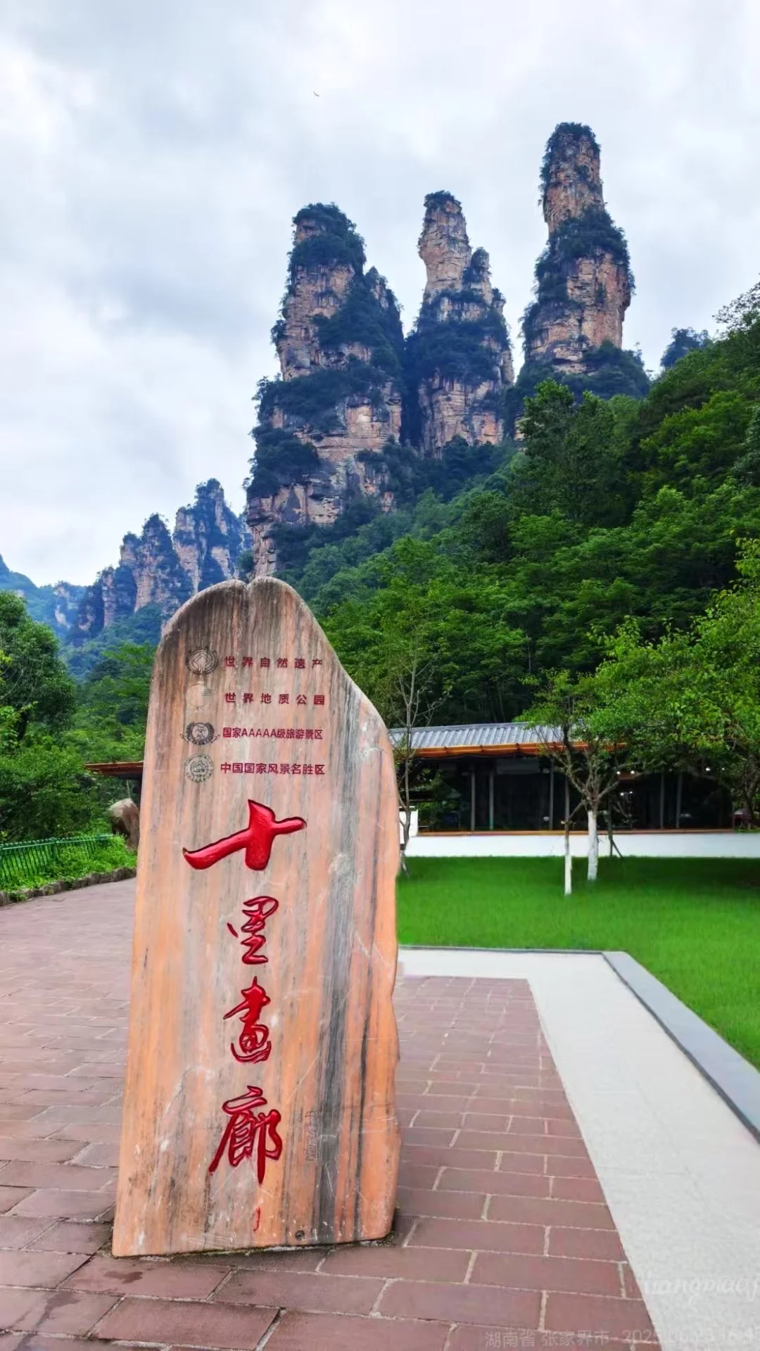 招人啦！张家界高盛国际5楼，招聘人了！