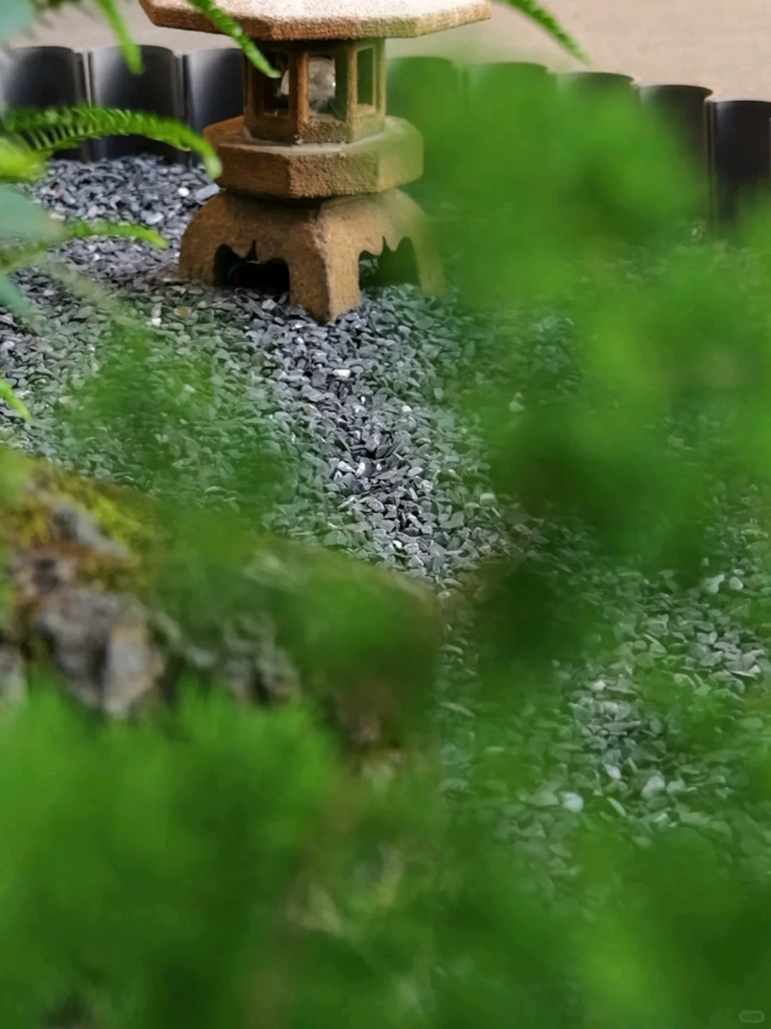 在雪山脚下办公是什么体验？｜雪屿且慢招募